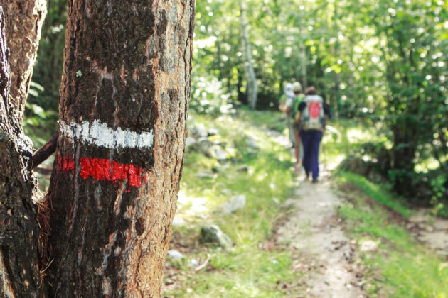 randonnée chemin