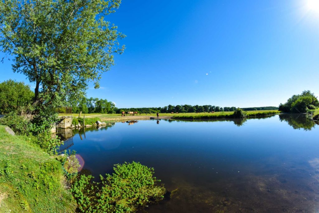 Barthes à Saint-Vincent-de-Paul dans les Landes