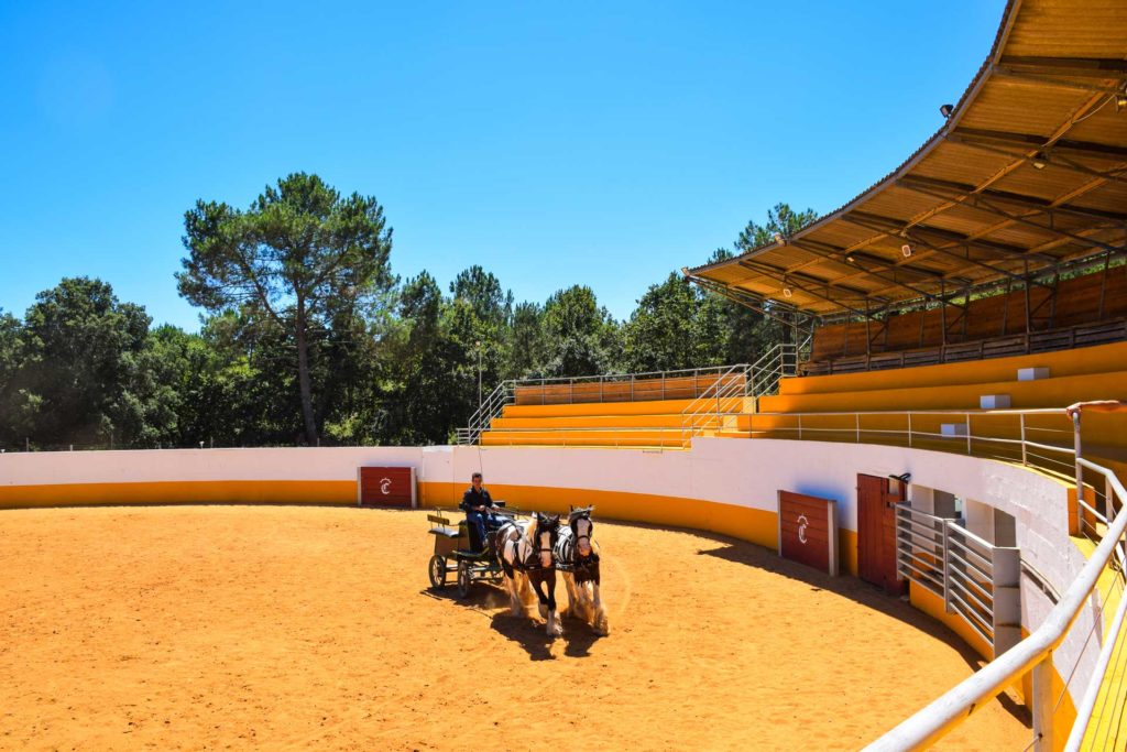 Domaine el campo à Mées dans les Landes