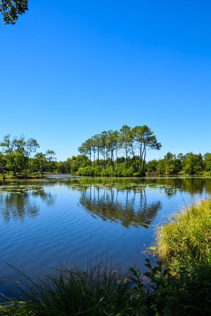 Étang à Saint-Vincent-de-Paul dans les Landes