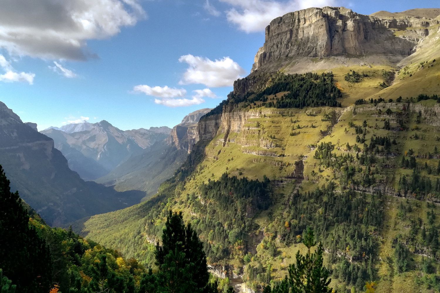 Un regard tourné vers la montagne