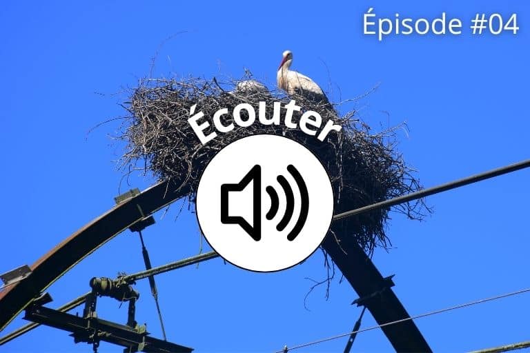 Podcast épisode #04 de l'Office de Tourisme : les cigognes de Mées