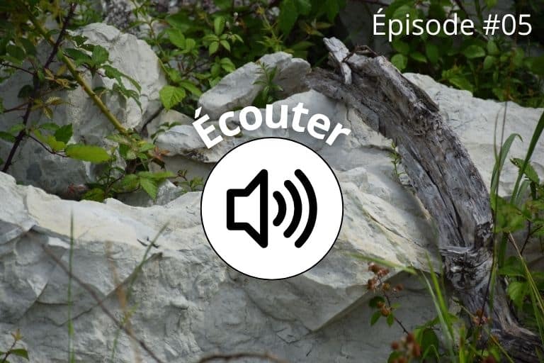 Épisode #05 des podcasts de l'Office. Tercis-les-Bains : les carrières, une cathédrale de pierre et de silence